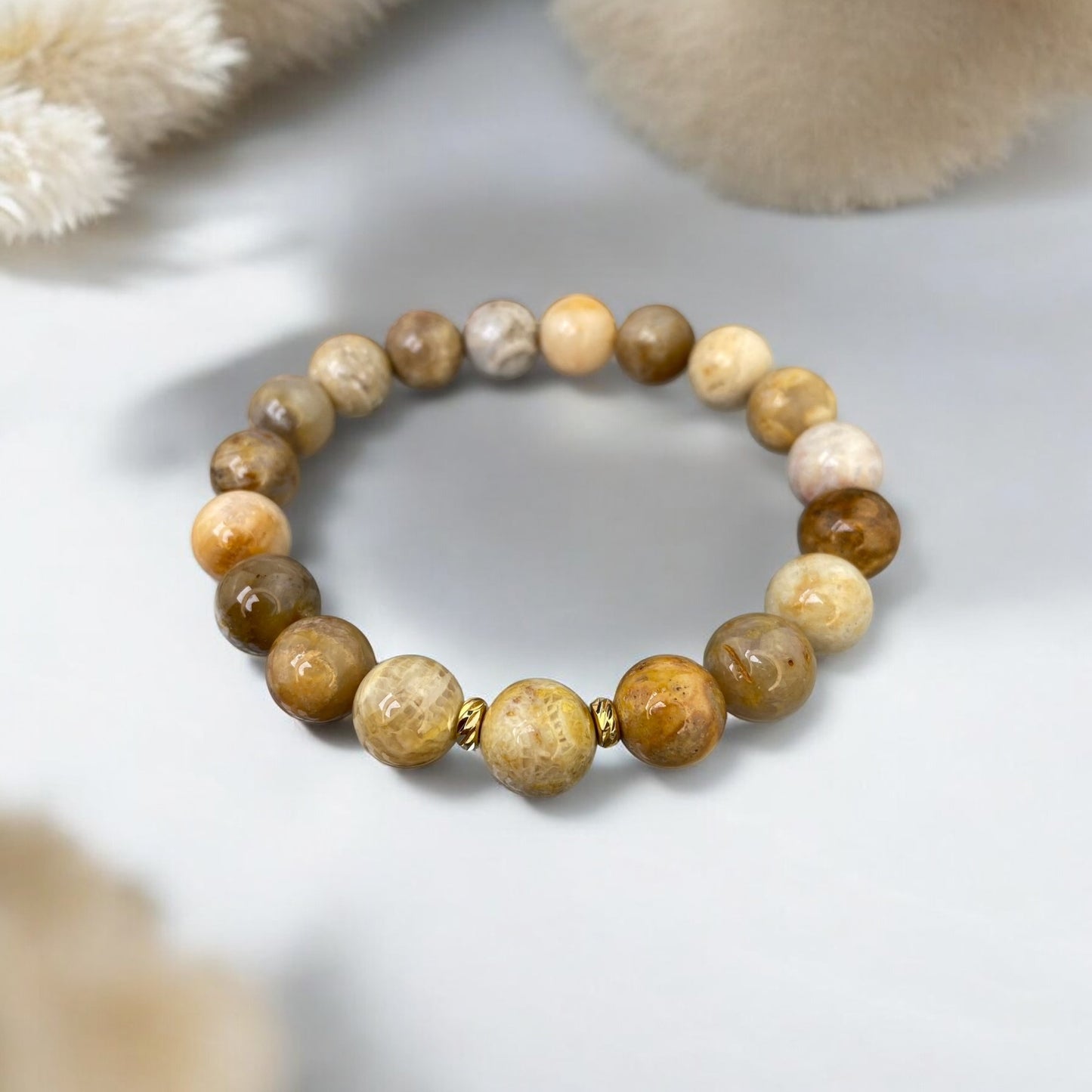 Koraļļu fosīliju rokassprādze (10mm)