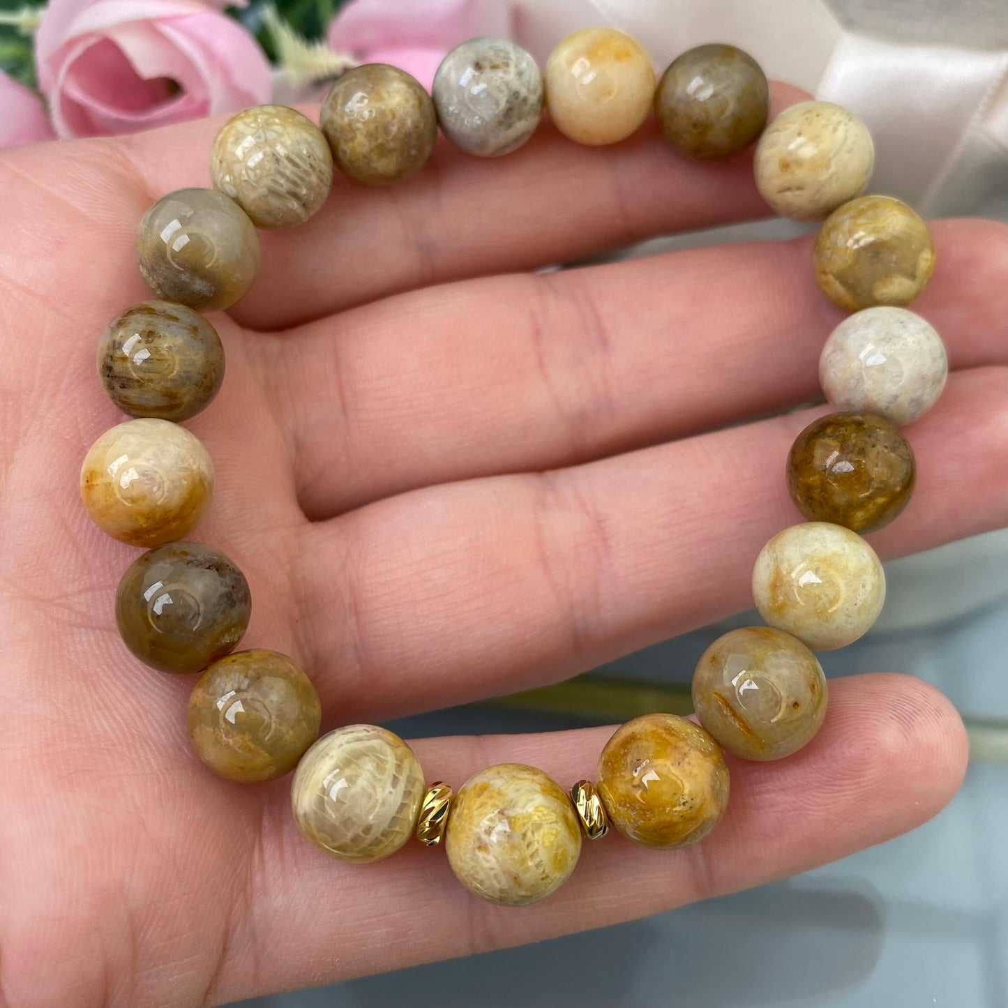 Koraļļu fosīliju rokassprādze (10mm)