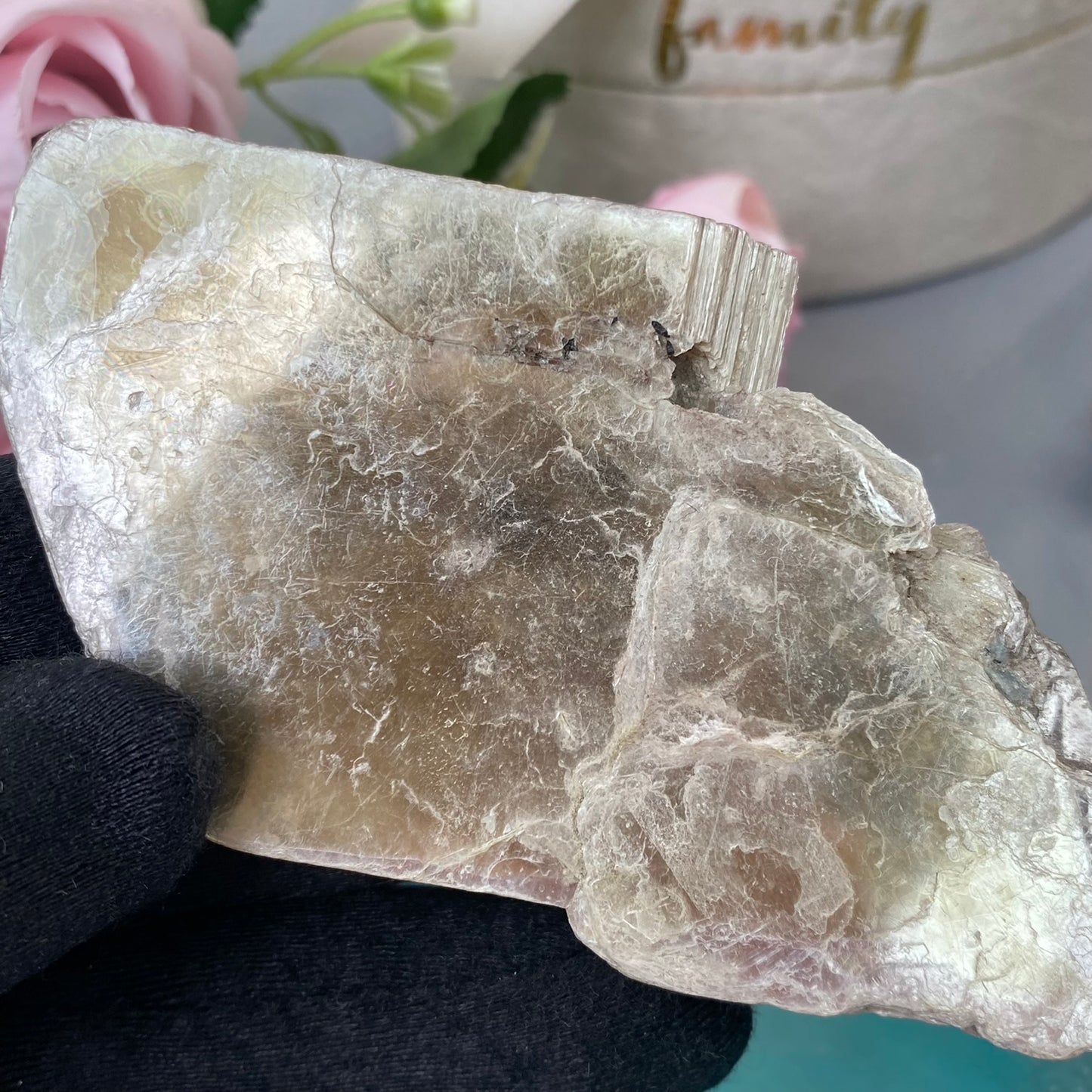 Muscovite