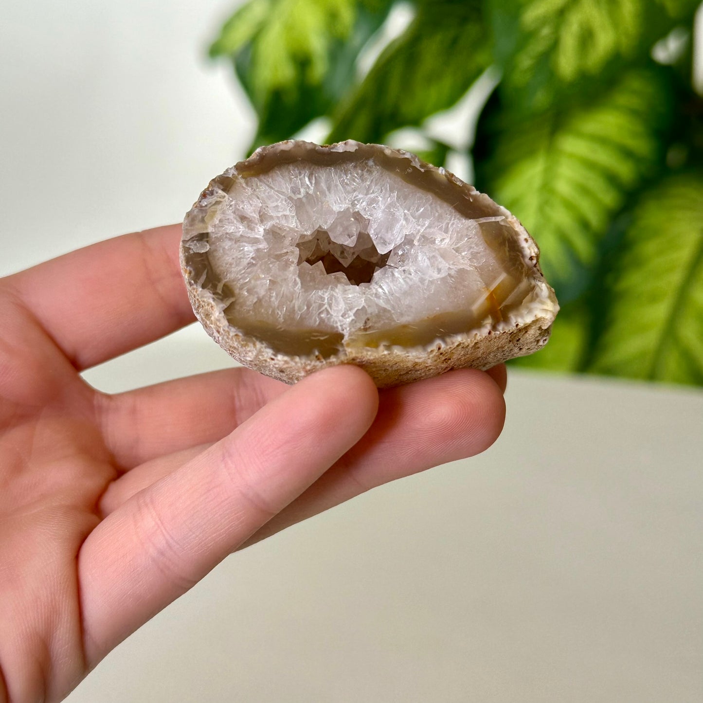 Ahāta žeoda ar Kalnu Kristālu (Ahāts, Kalnu Kristāls, 132g)