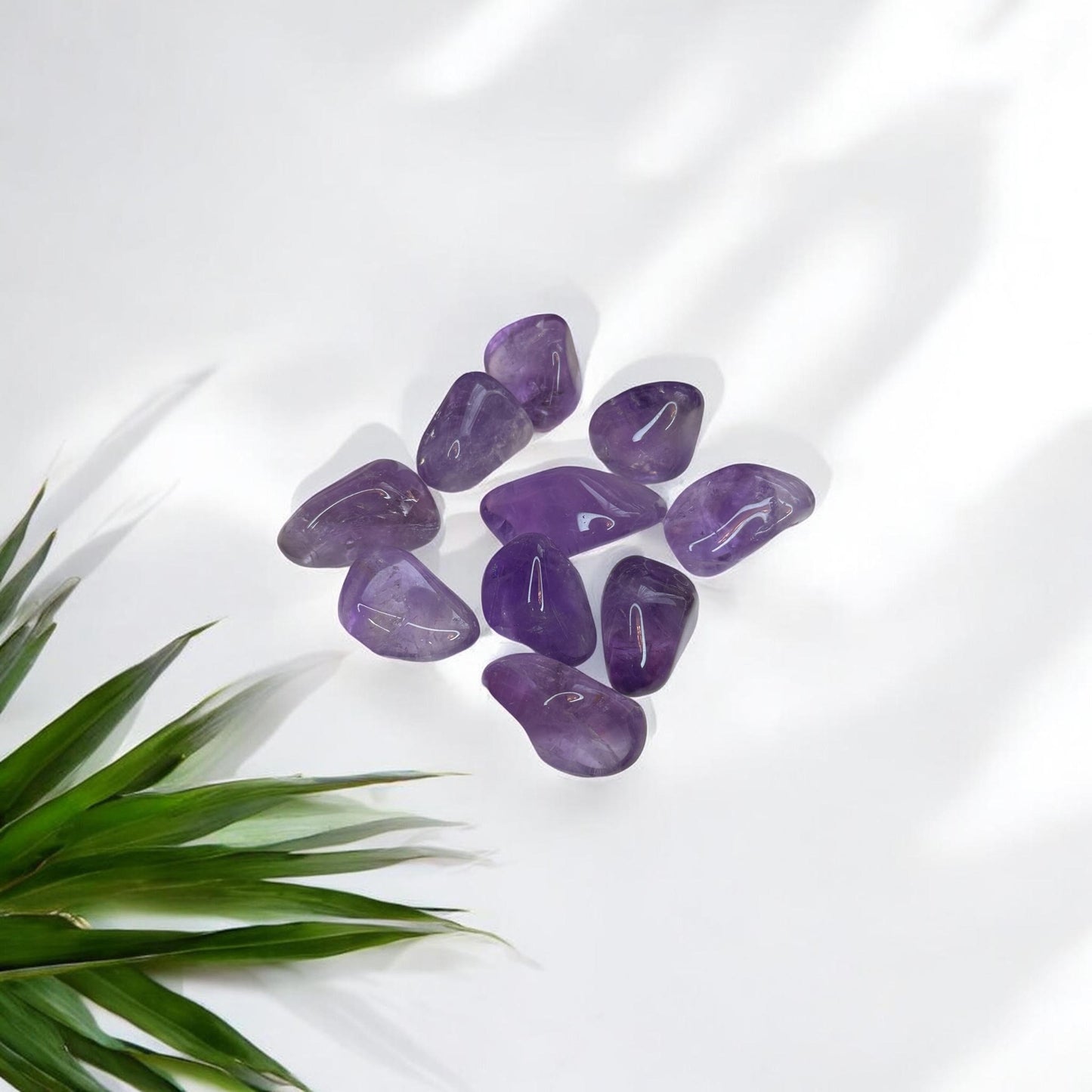 Ametists ("M" izmērs, 1gab.)