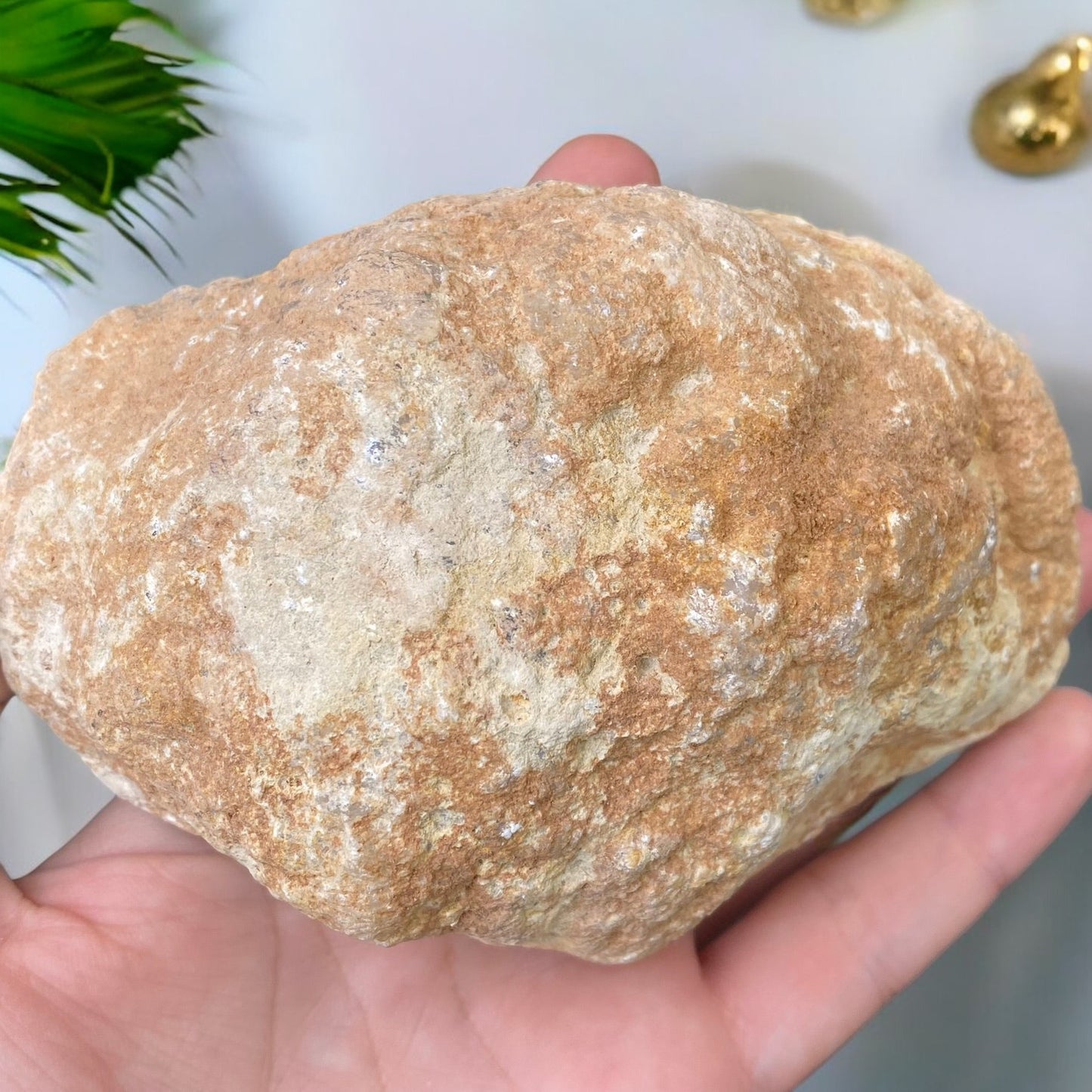 Baltā Kvarca žeoda 329g.