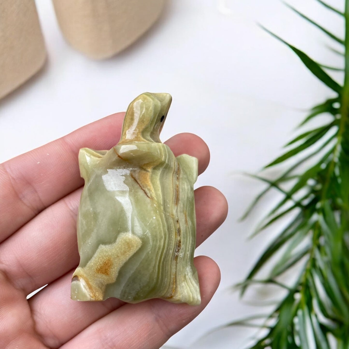 Marmora Oniksa bruņurupucis (Marmora Onikss)