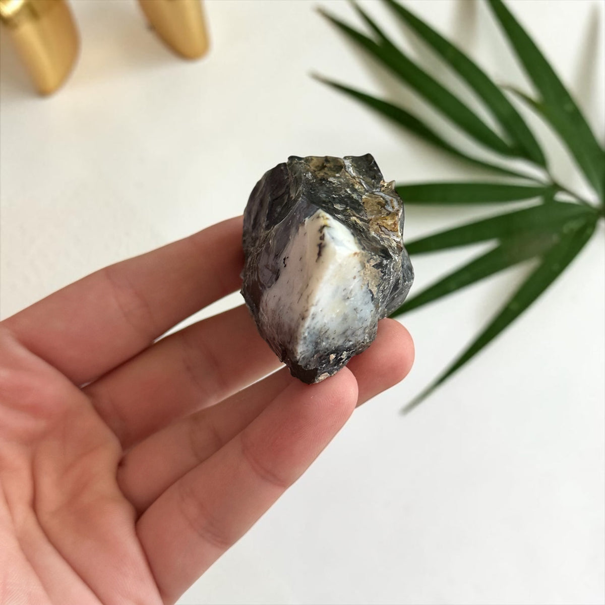 Neapstrādāts Dendrīta Opāls