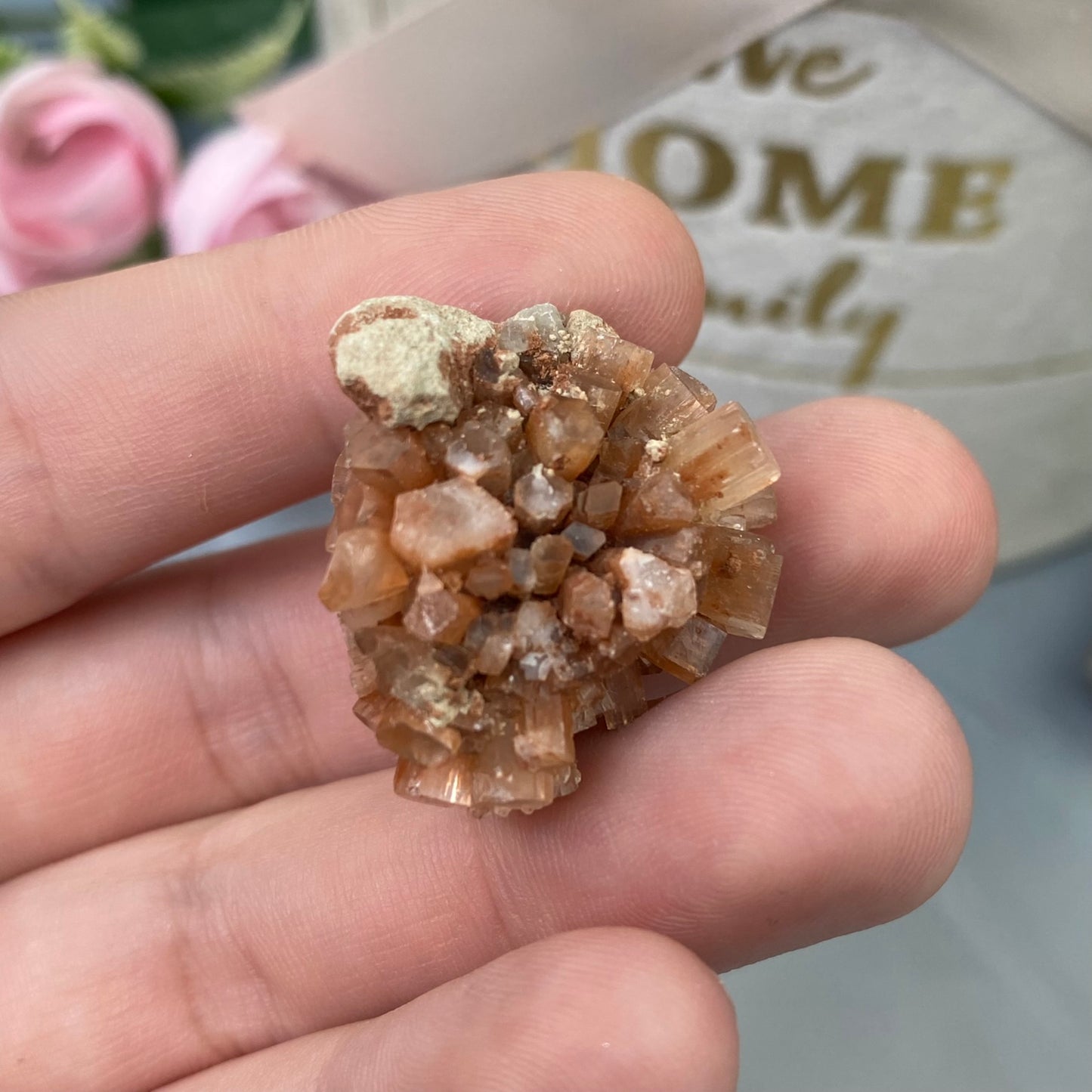 Aragonite