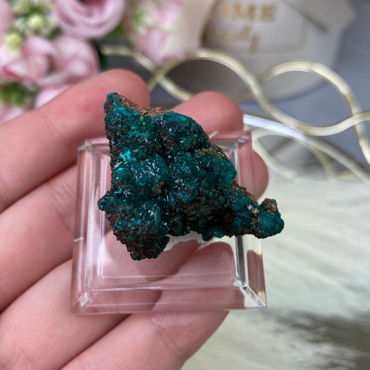 Dioptase (31g.)