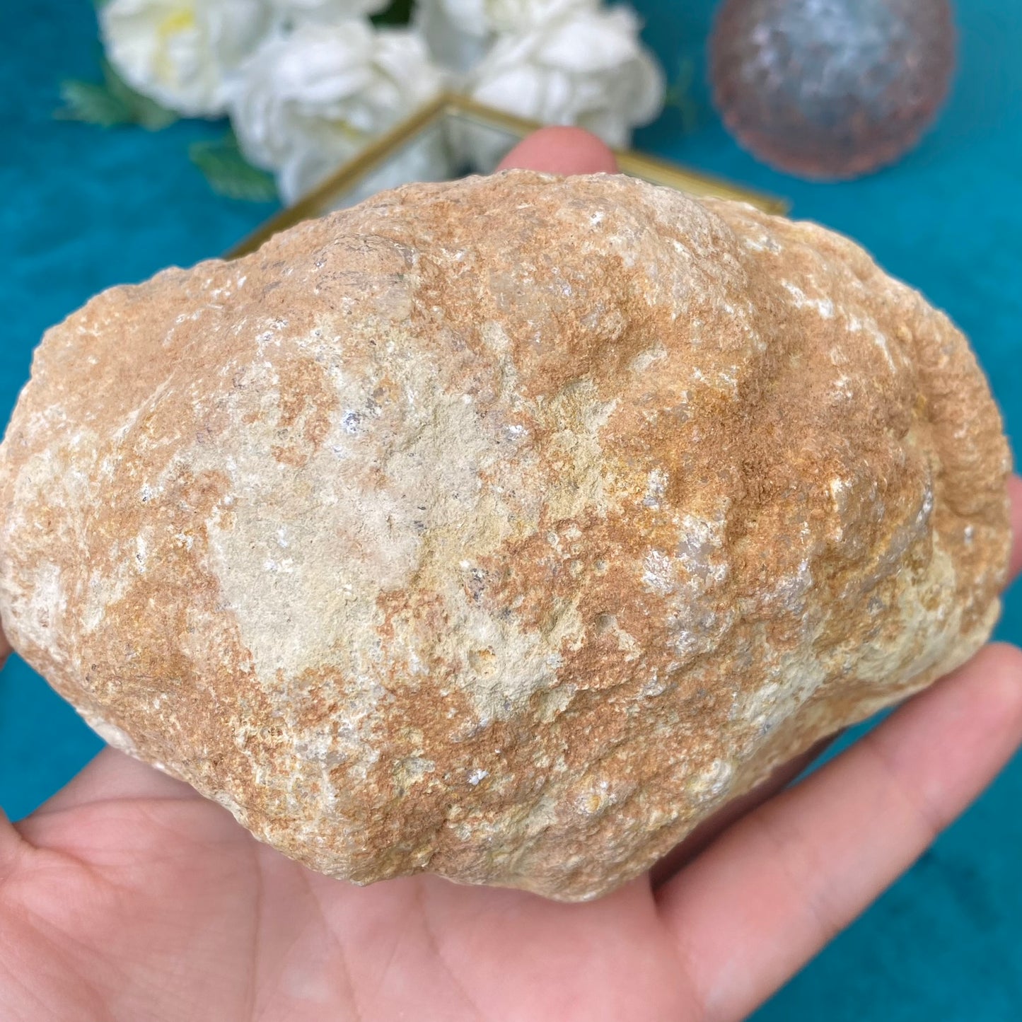 Natural raw White Quartz geode 329g.